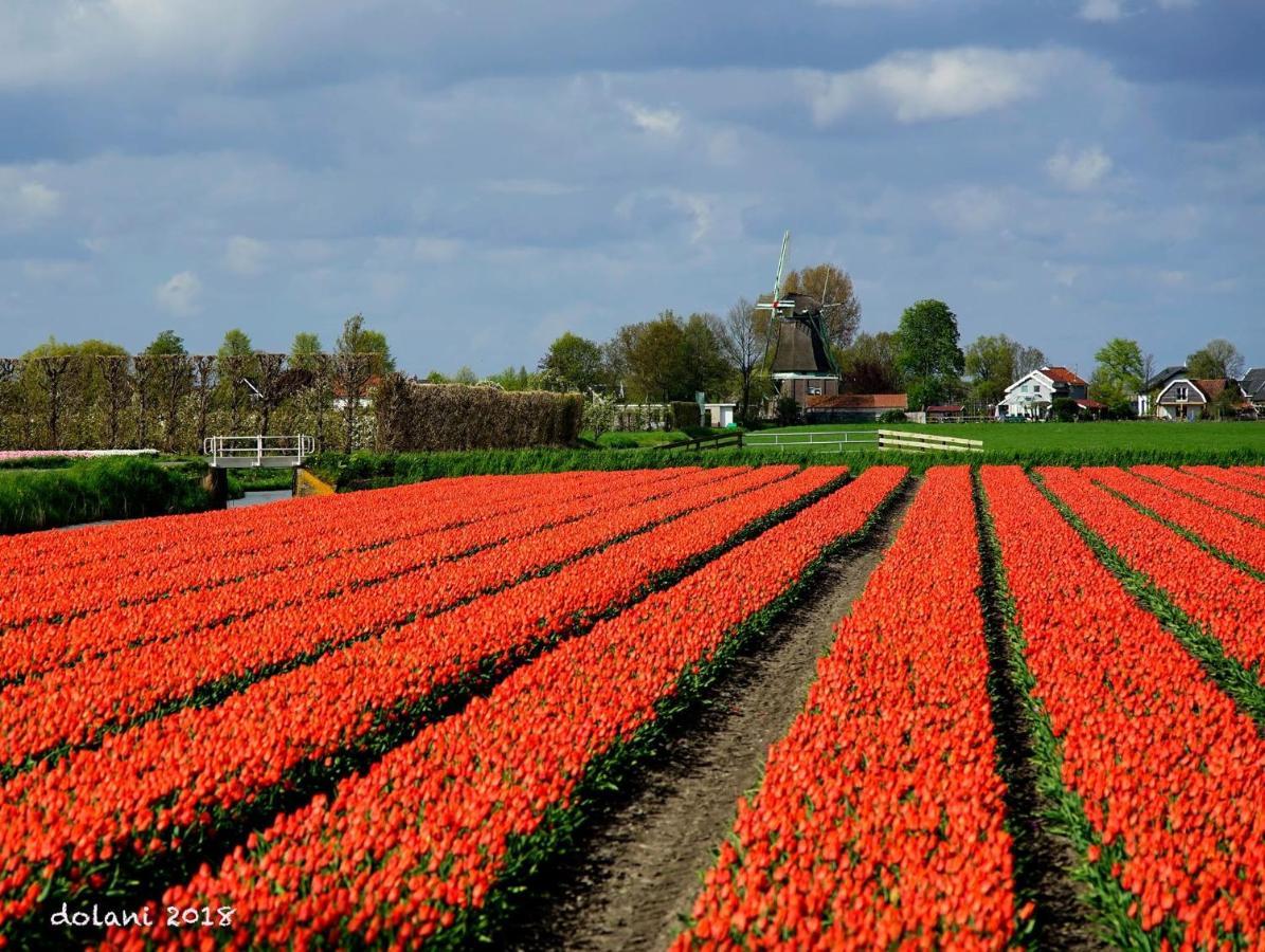 Nelly'S B&B Wijdenes Exteriér fotografie