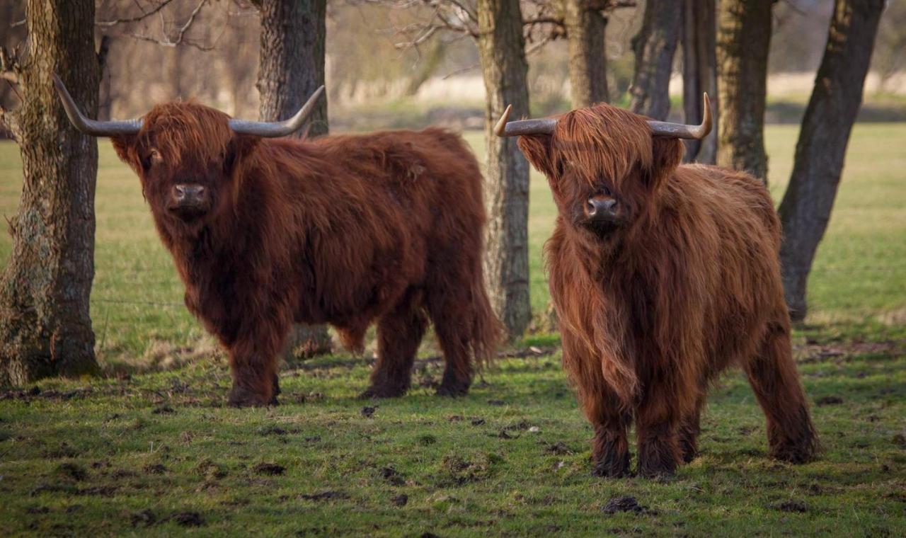 Nelly'S B&B Wijdenes Exteriér fotografie