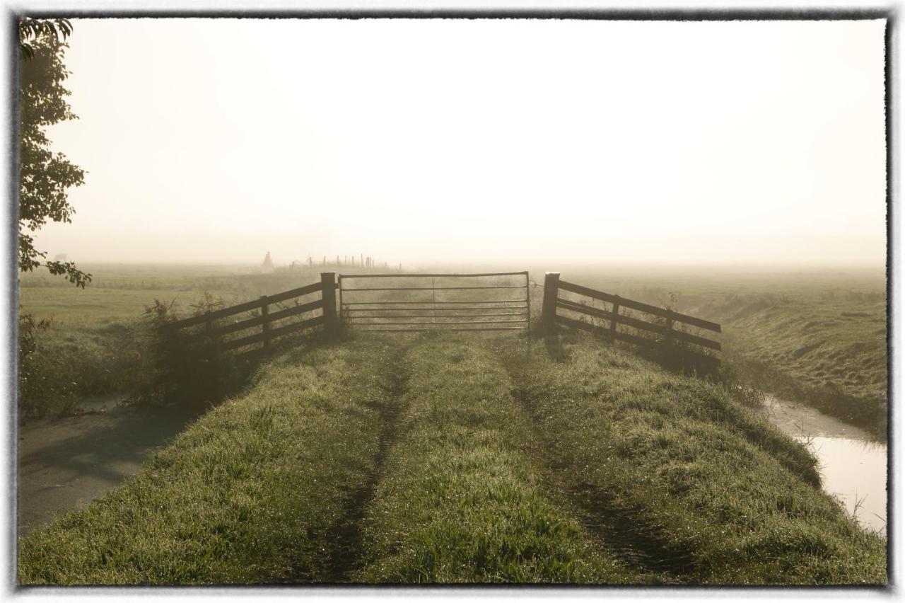 Nelly'S B&B Wijdenes Exteriér fotografie